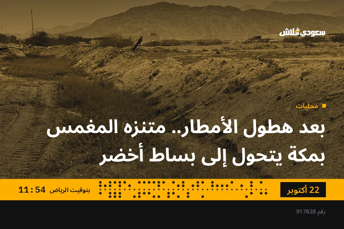 بعد هطول الأمطار.. متنزه المغمس بمكة يتحول إلى بساط أخضر